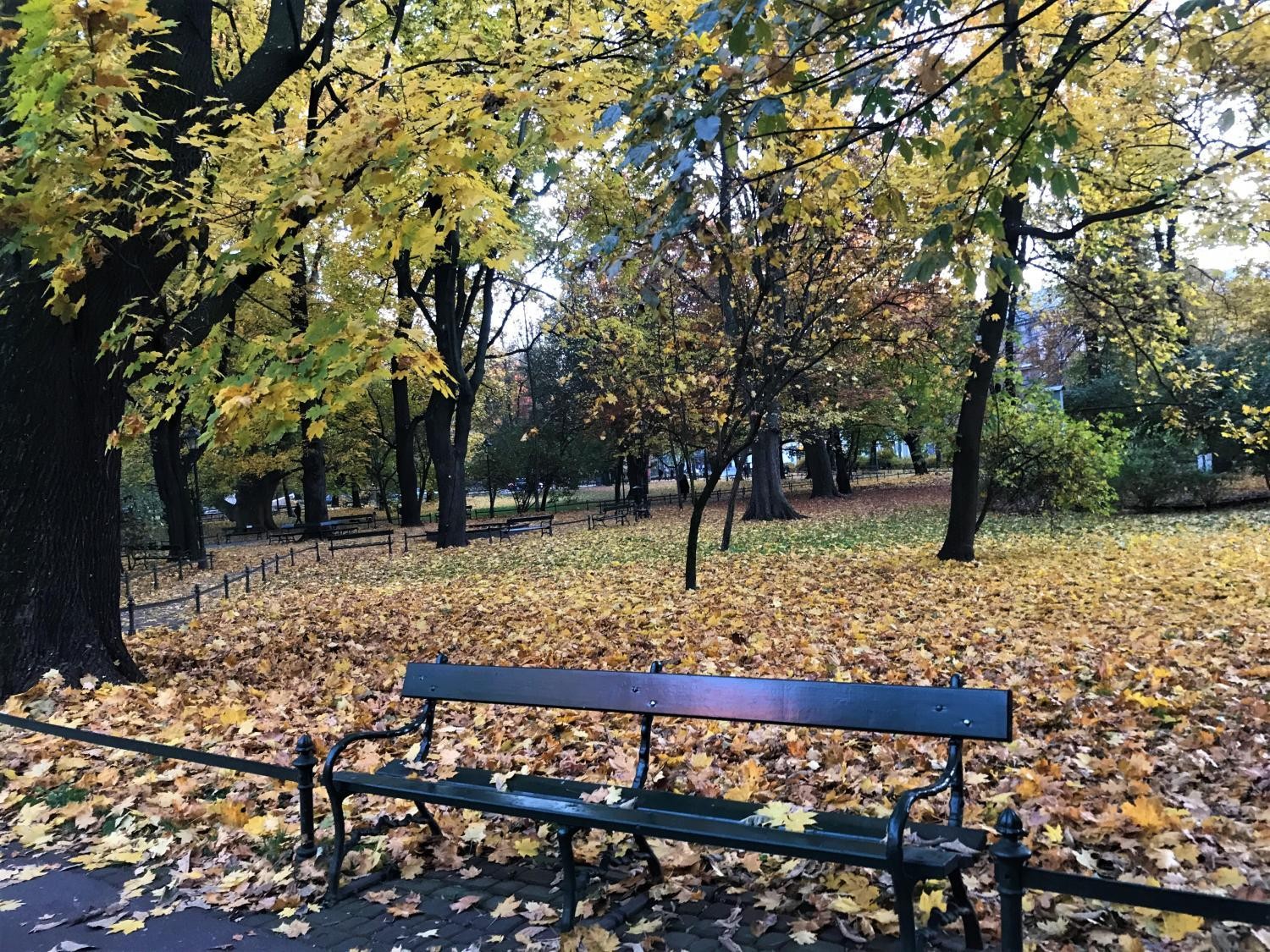 Ławka
