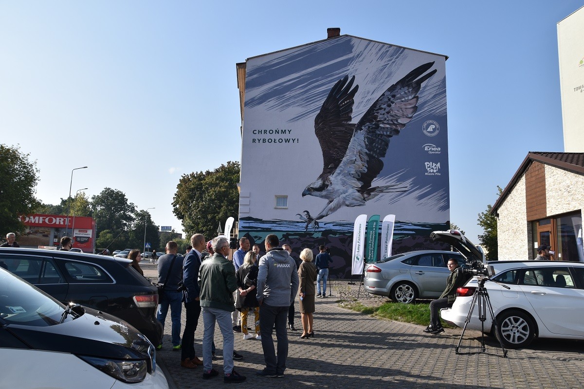 Mural z rybołowem w Pile