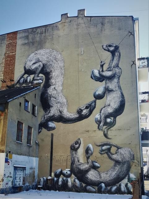 ŁASICE KRADNĄ JAJKA