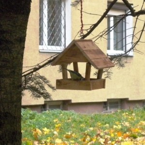 Karmnik w wielkim mieście