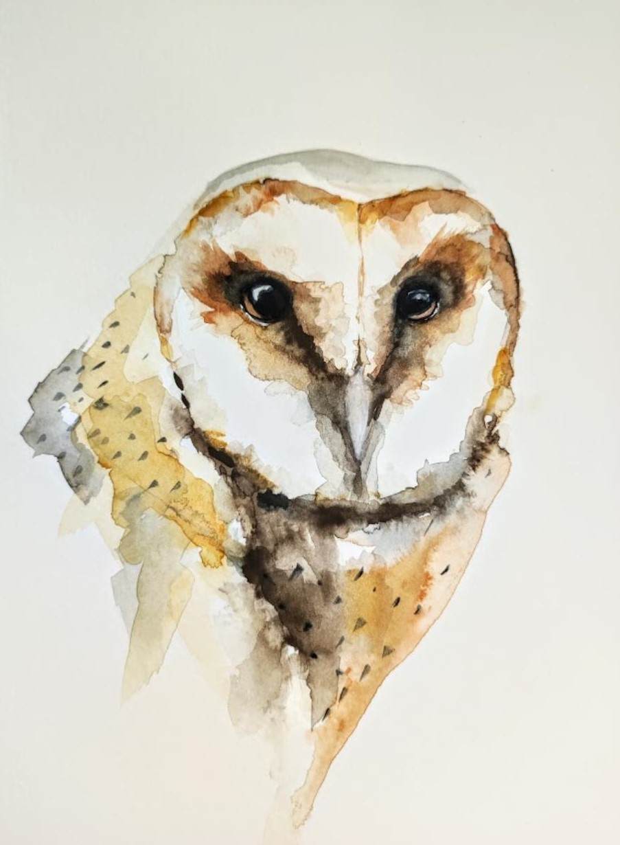 Sowa