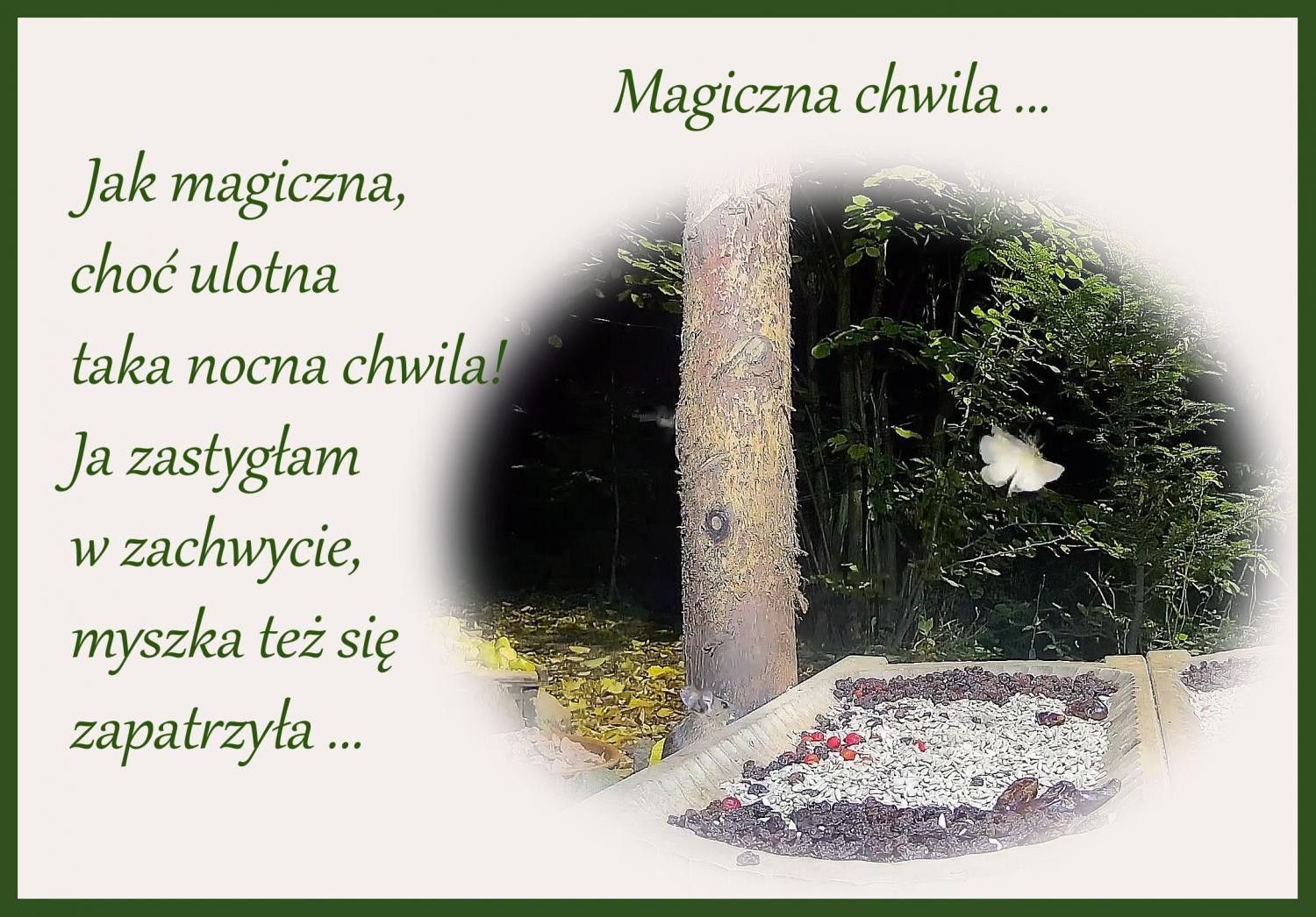 Magiczna chwila