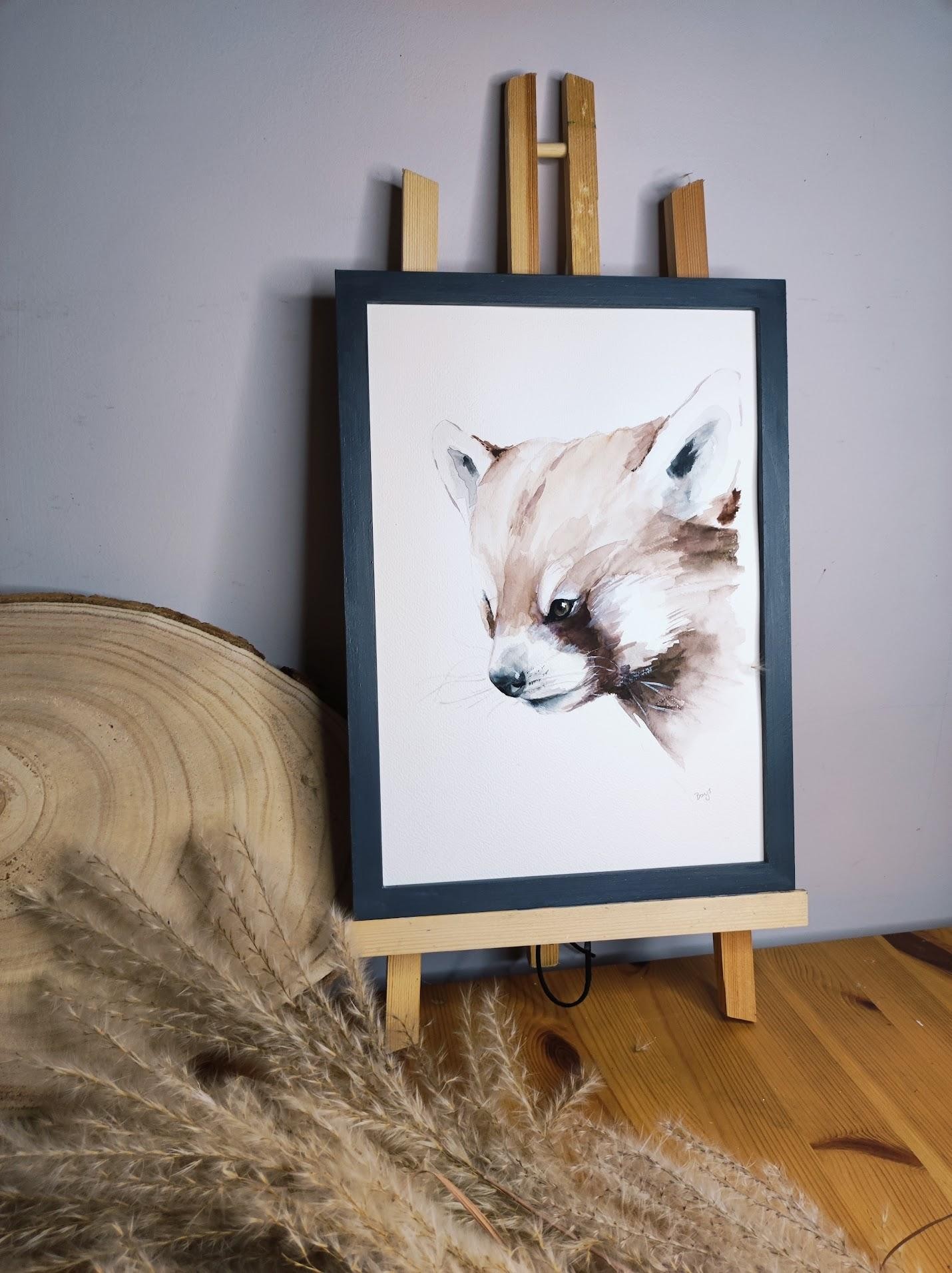 Rozwiązanie zagadki 12 Pandka ruda (panda mała)
