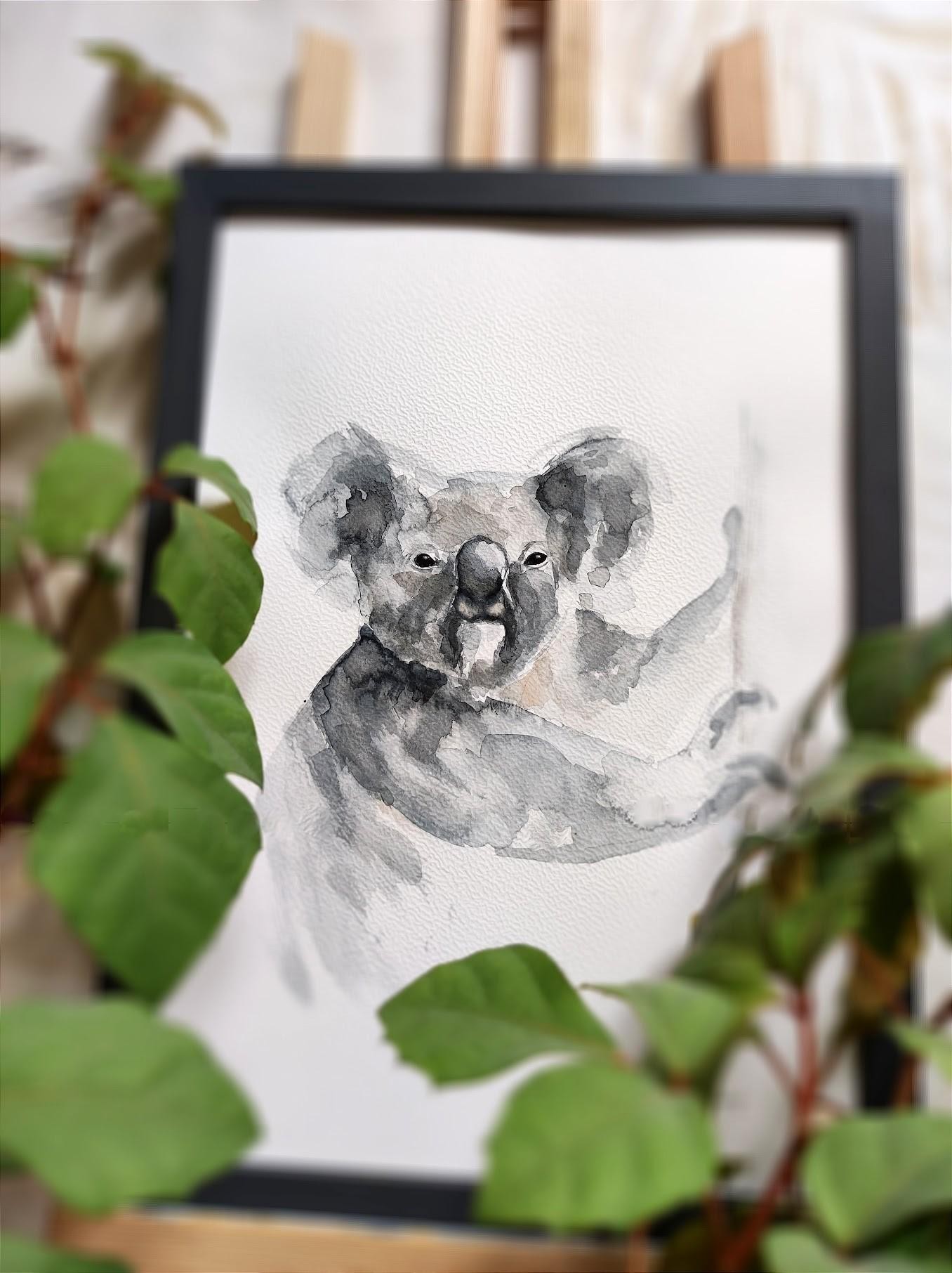 Koala