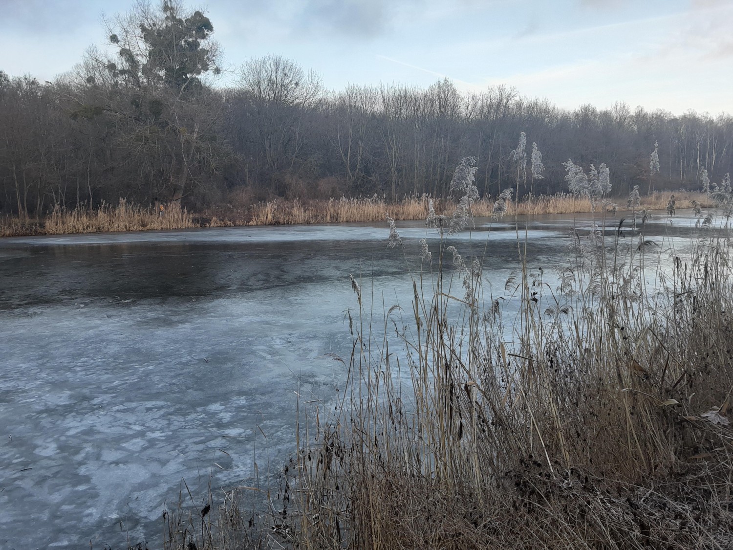 Pod powierzchnią