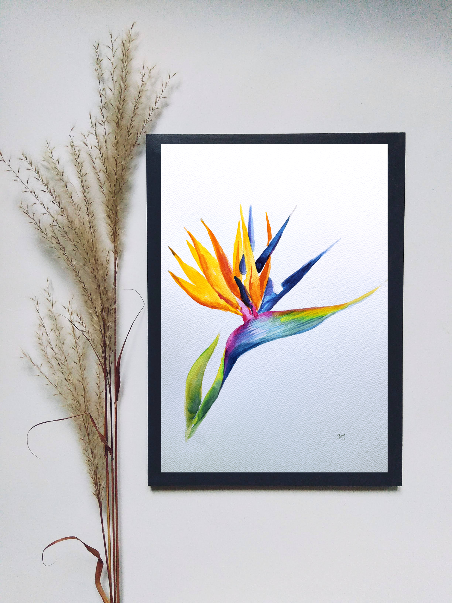 Bird of paradise
