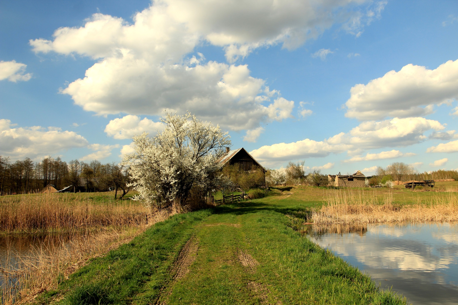 Zapomnienie