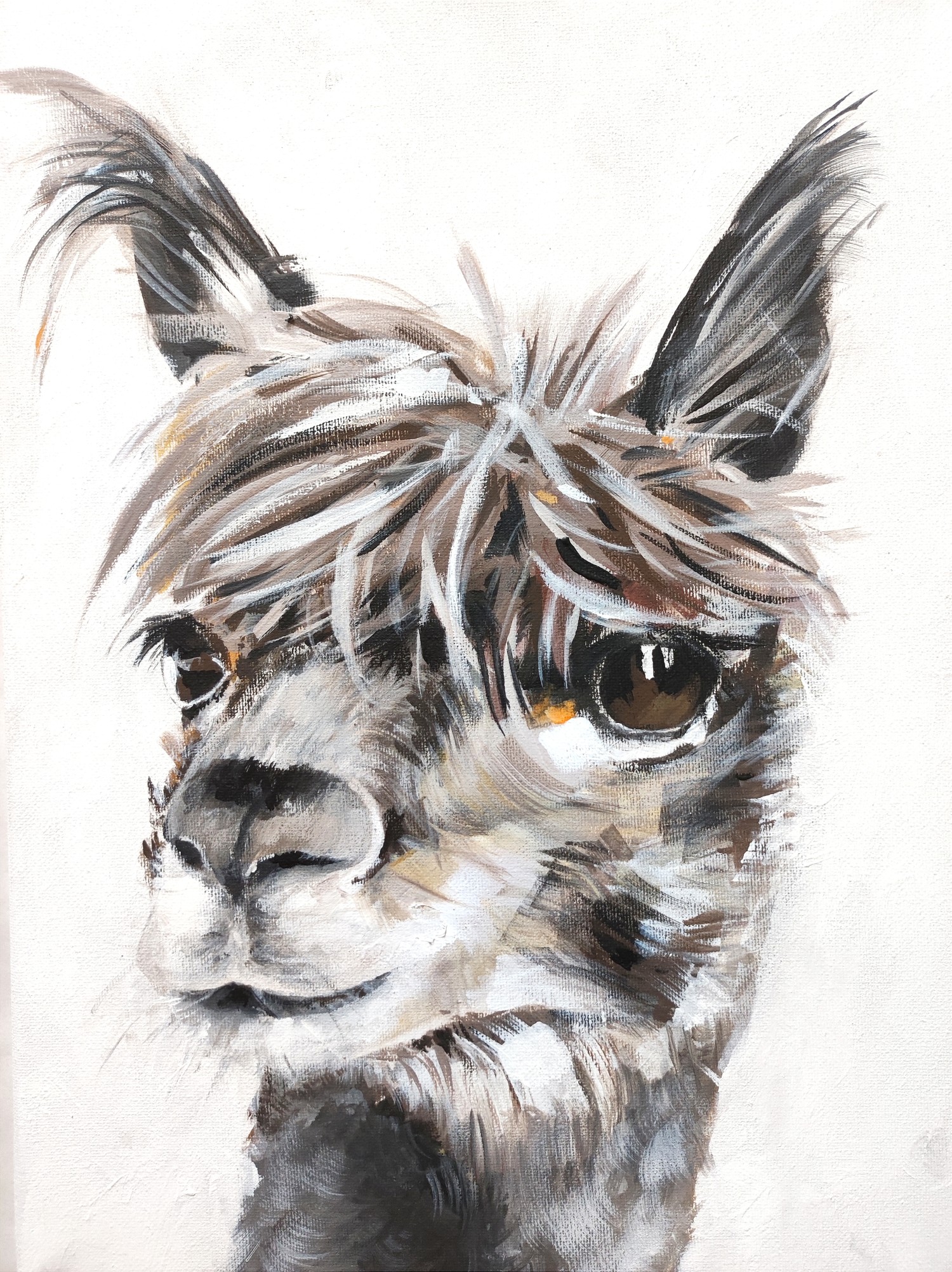 Lama