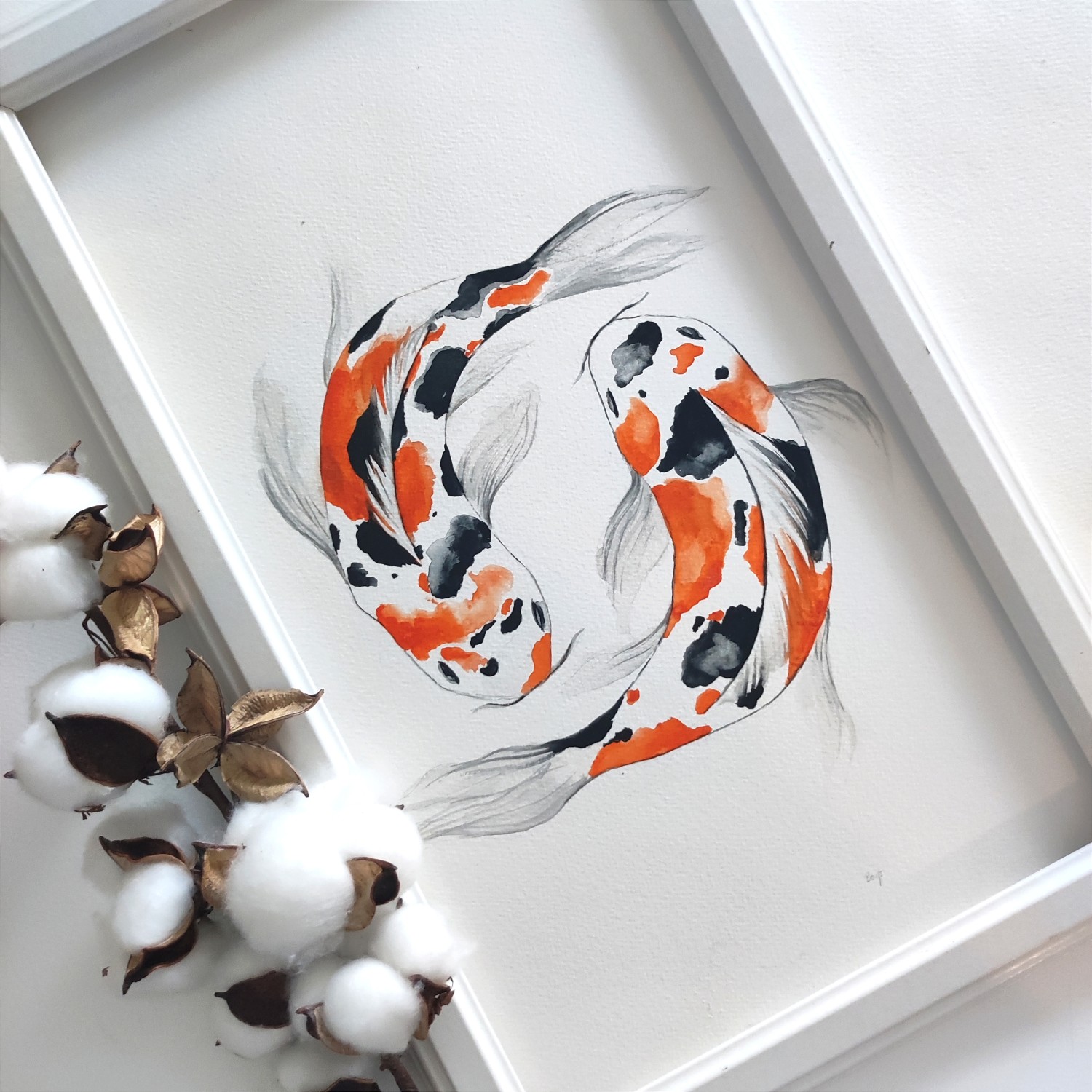 Rybki Koi