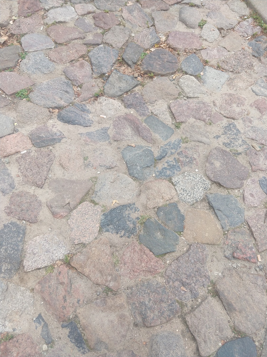 Moje miasto