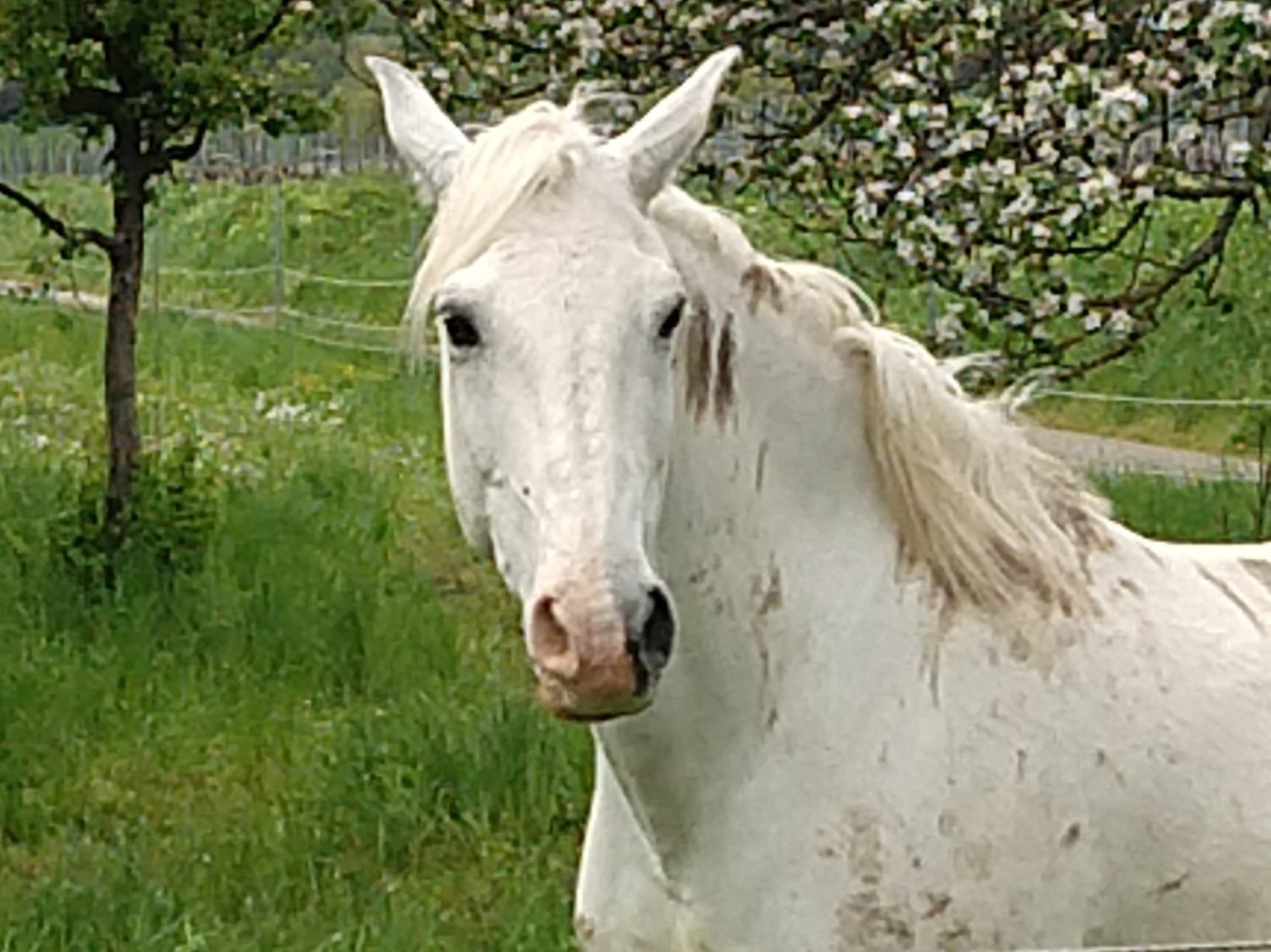 Spotkanie