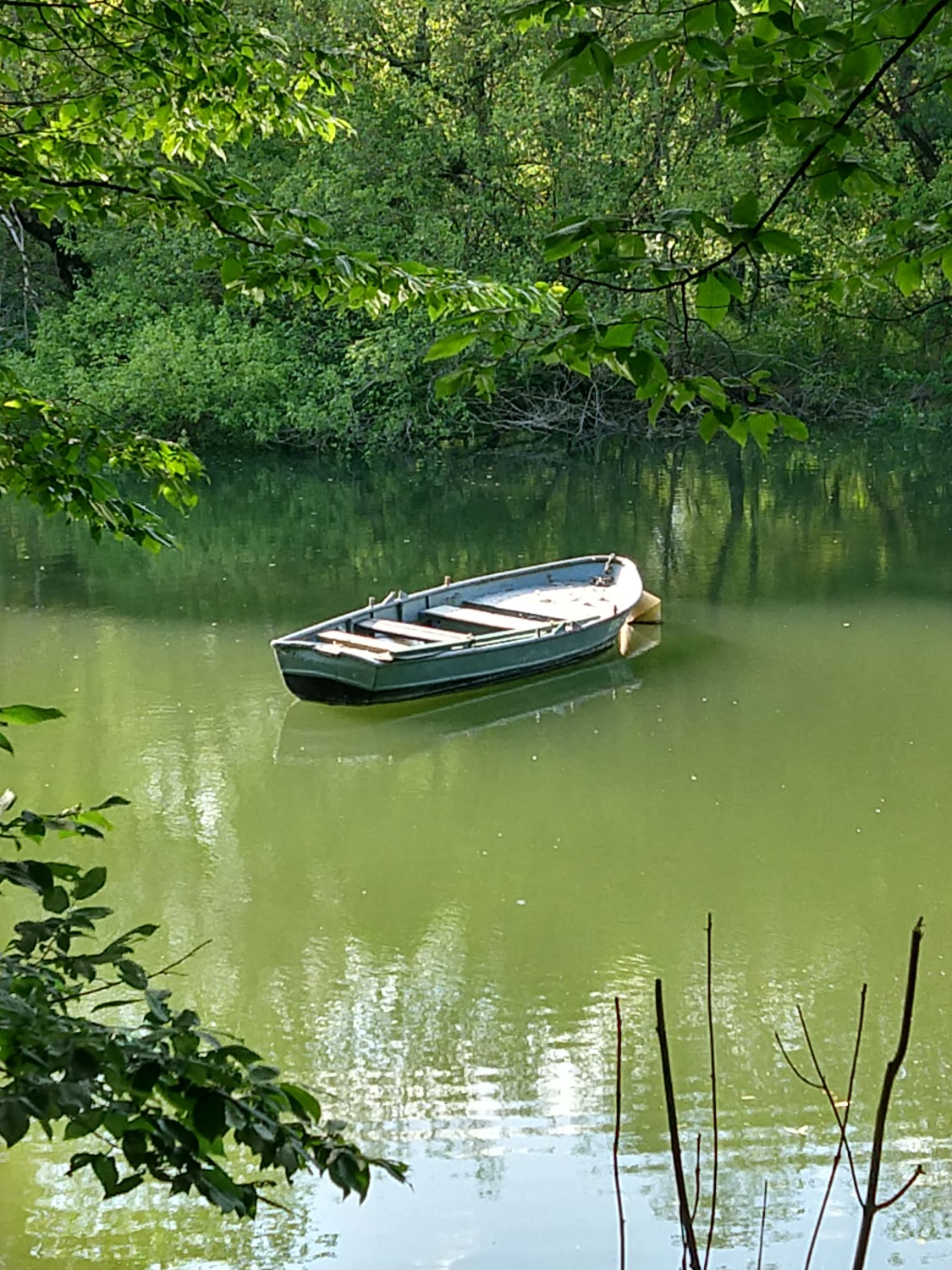 W podróż