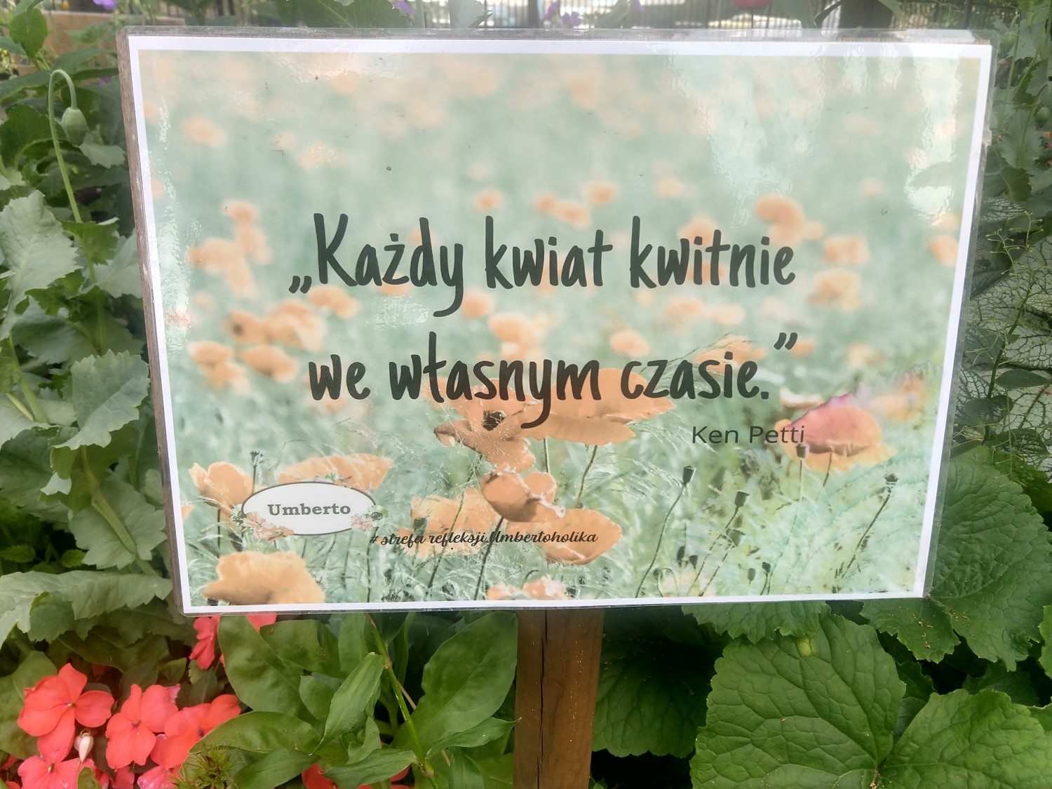 Łagodność