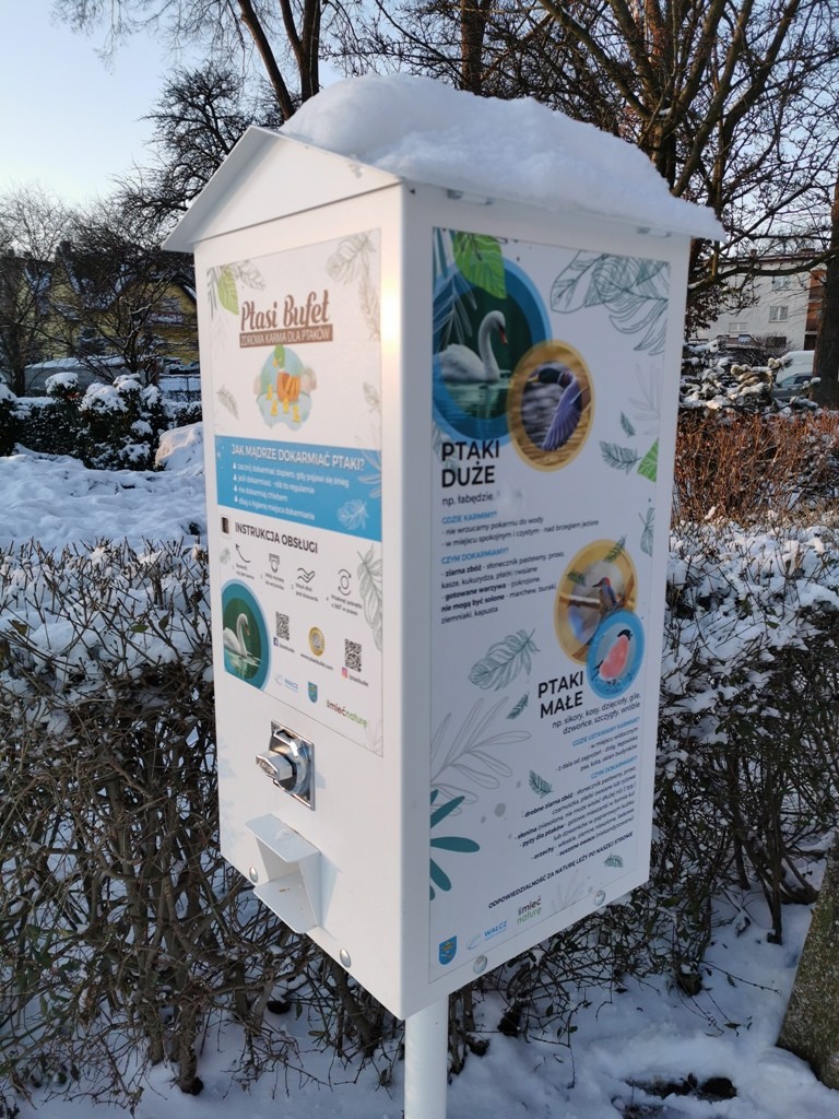 livebirdspoland_073810f79d1c07756920d7d68b9cbde1.jpg