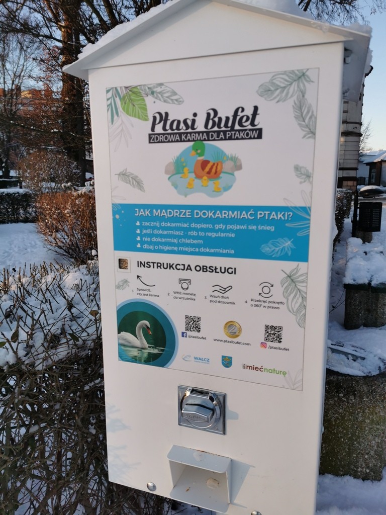 livebirdspoland_8116bfebfbab8d7a4e110d03243c5012.jpg