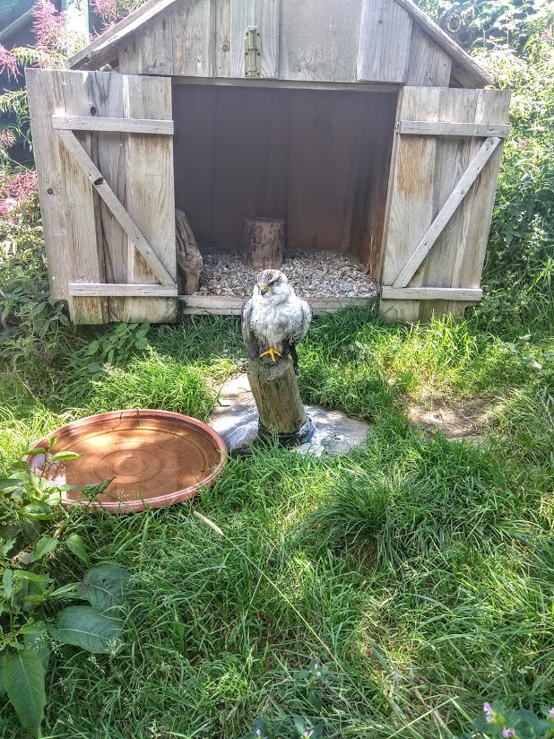 livebirdspoland_f82314c57ce98097f217f780c9712210.png