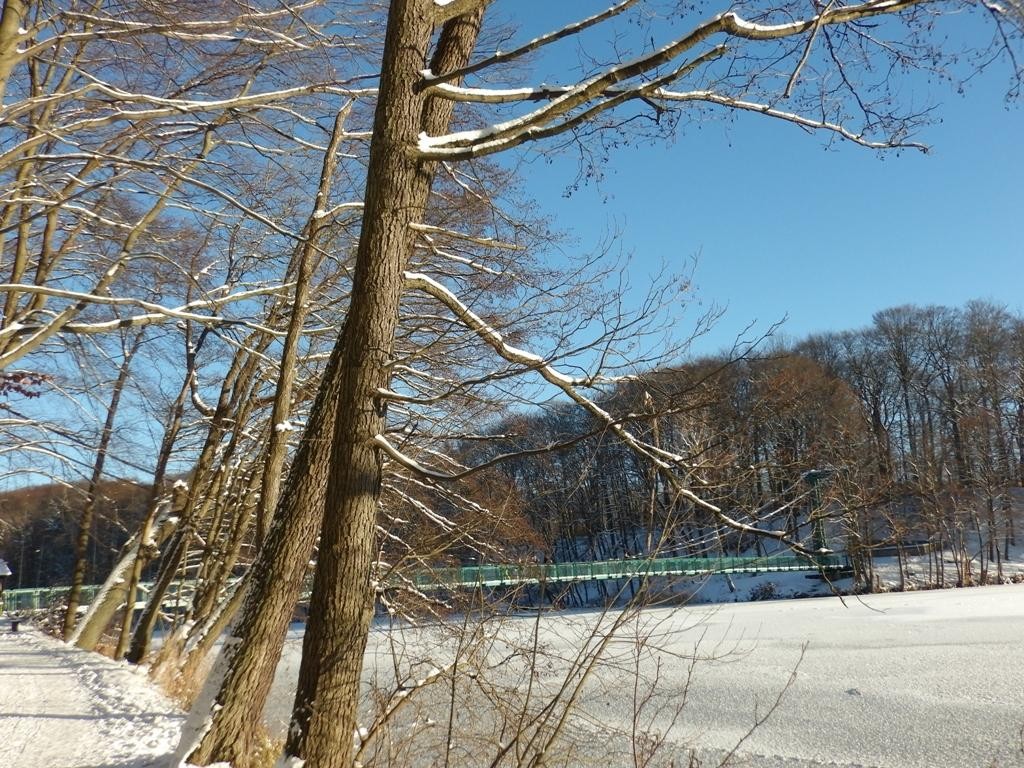 livebirdspoland_4d3054fe1fd017c086ed2343ae9eb6a5.jpg