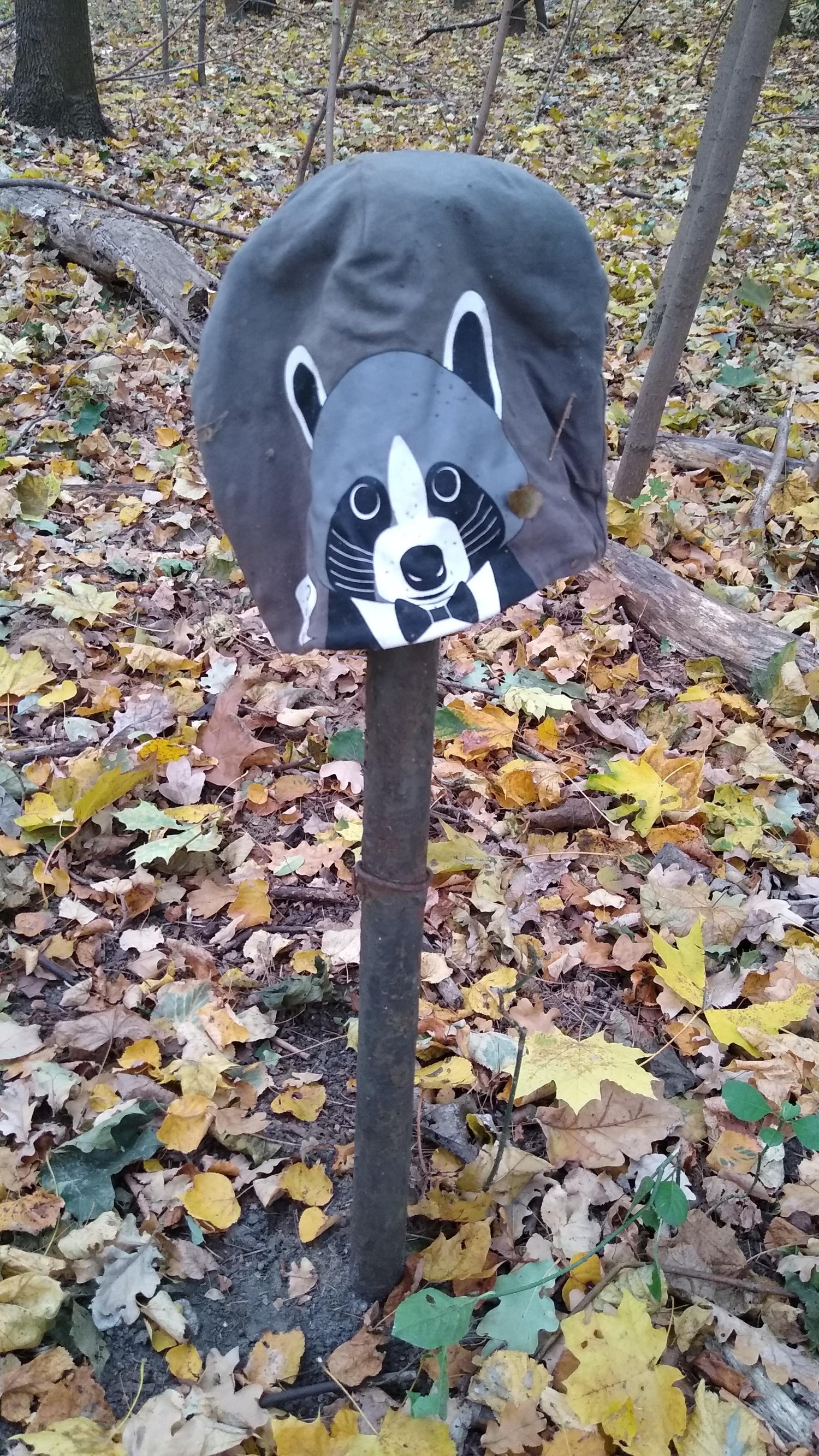 livebirdspoland_9f9a1ff2b85075fdd87d45dac23f0fcd.jpg