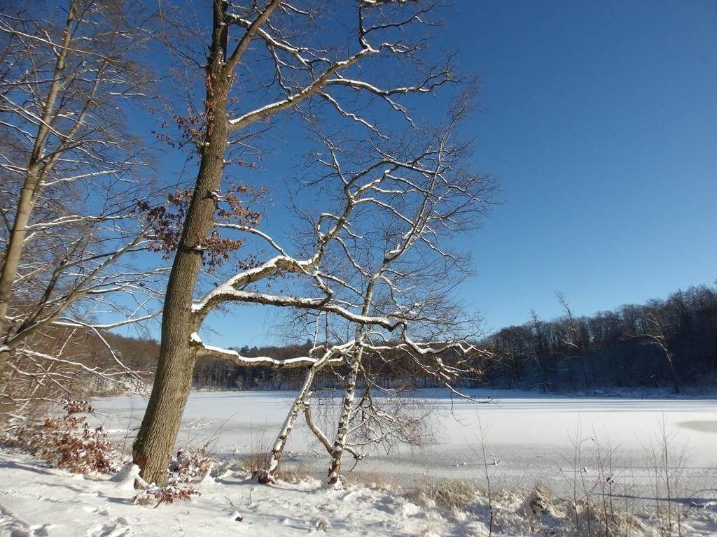 livebirdspoland_d195319a8cc28fa8f00214ac48927645.jpg