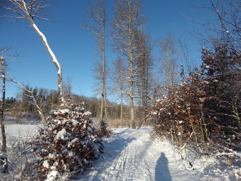 livebirdspoland_71f2b43db65761911f130499eb14687d.jpg