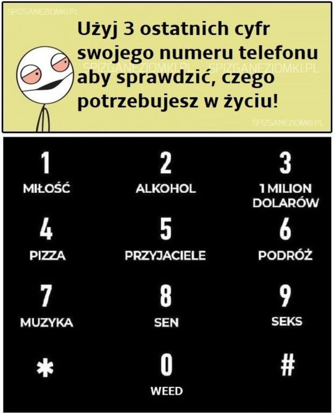 livebirdspoland_4c0f74b8ee5e66f86c0ac00807475a85.jpg