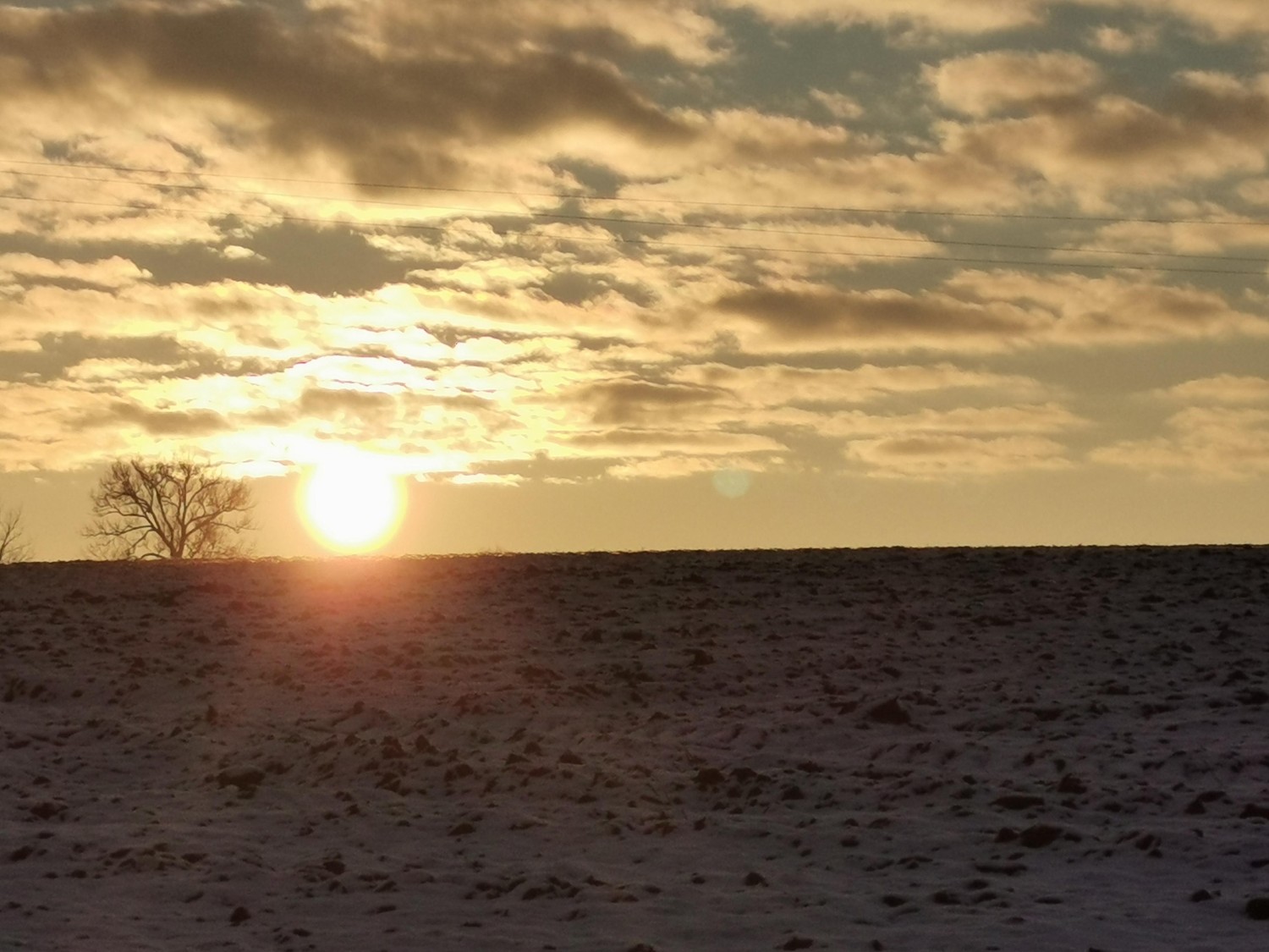 livebirdspoland_ca11fb7e6c45b4717e198b6030fd1a2b.jpg