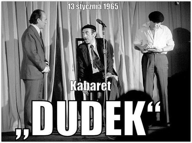 livebirdspoland_b9df8cde916d242c4c1981eb26cc9bfe.jpg