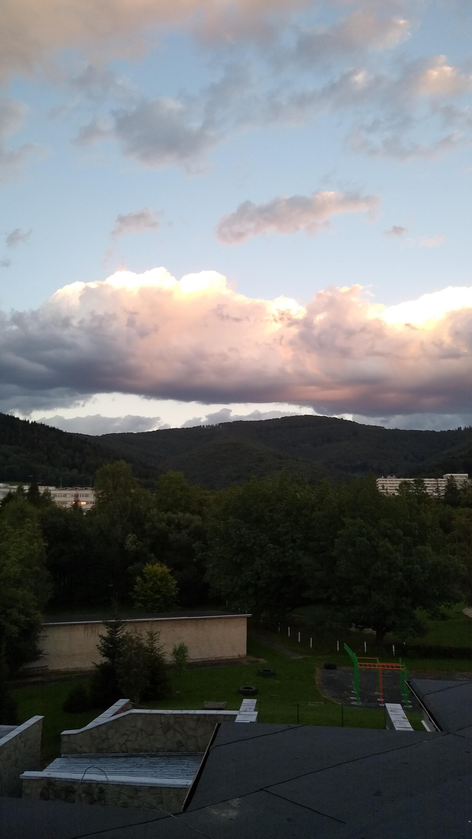 livebirdspoland_7ac3d596b97014d0854a4e6a9ed3563f.jpg
