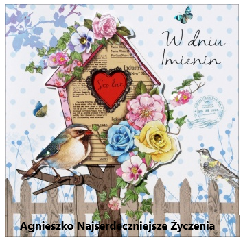 livebirdspoland_cd6fd57ba7e22ba4837ef02ce0acf7cd.png