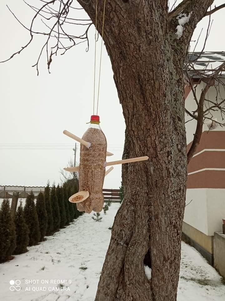 livebirdspoland_fe4e90b47905b712d8e0e9d97dcffbda.jpg