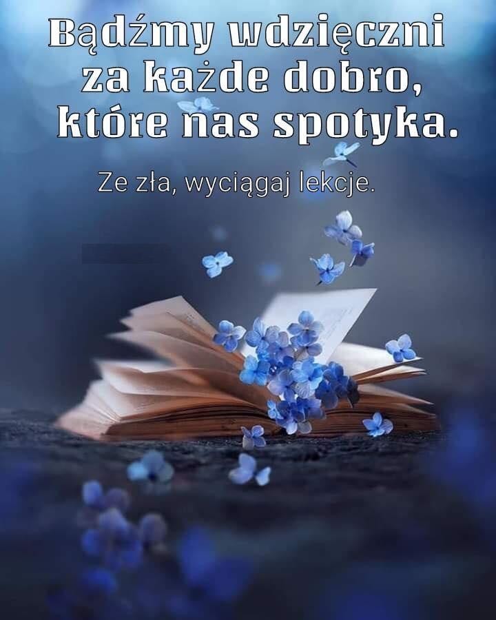 livebirdspoland_ffd52c1236824ebe99ce732a16f1127f.jpg