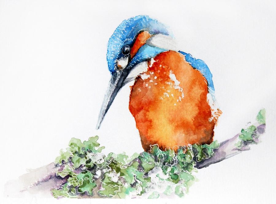 livebirdspoland_6b1c9ff7d6cd28c46f436da6dcfb2289.jpg