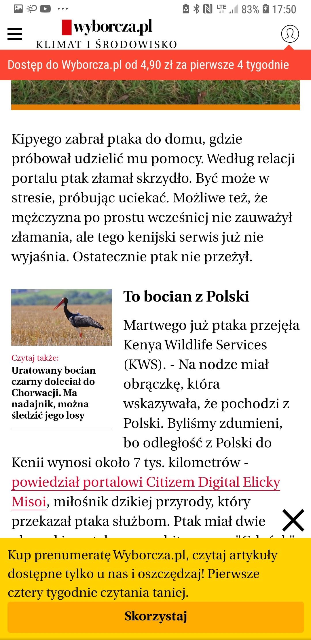 livebirdspoland_5ebd0db403db470be74ab2eb7af301fb.jpg