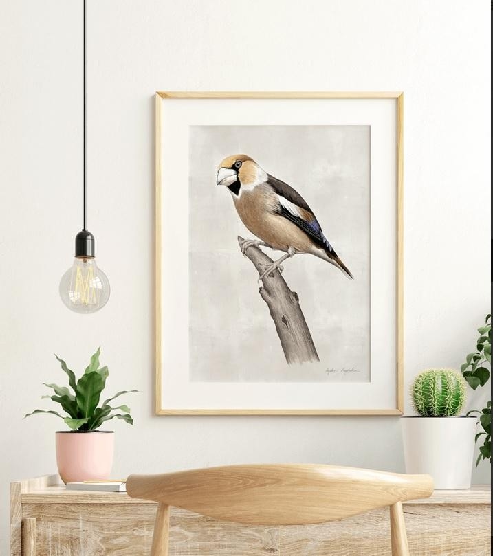 livebirdspoland_06e1190be256c8cca7447d6f08572990.jpg