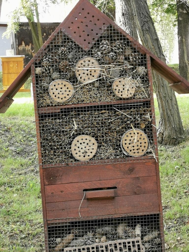 livebirdspoland_b0914b0a1e4b3d20a73c8feb4edd980a.jpg