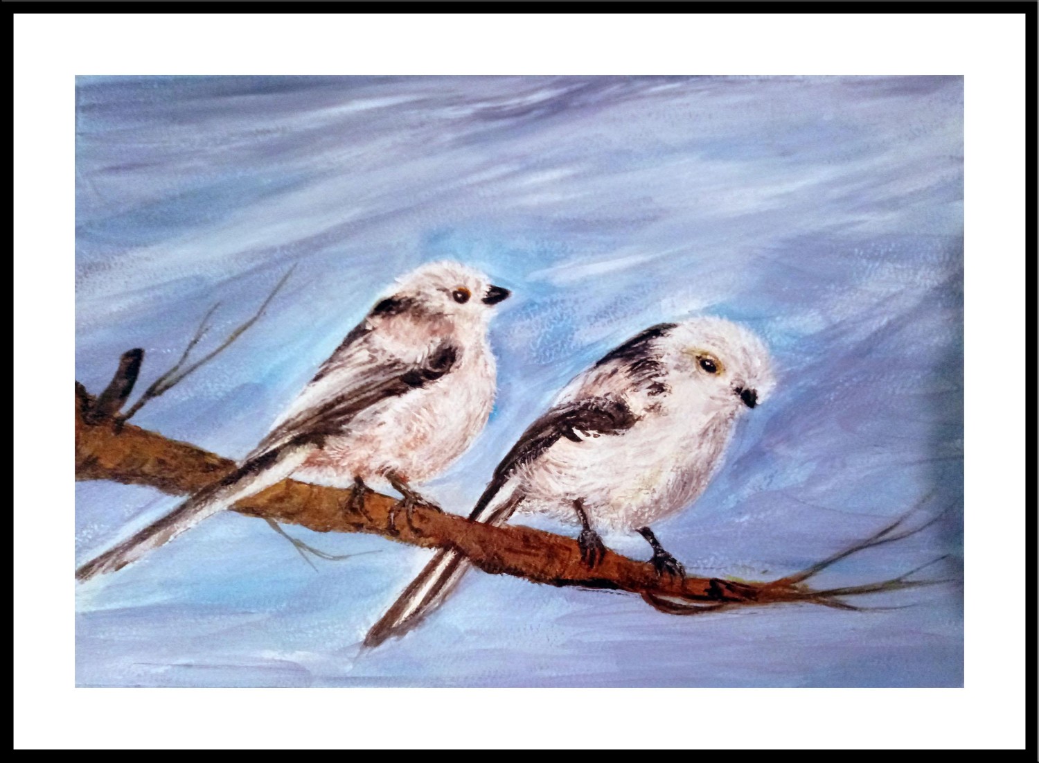 livebirdspoland_8773fce22a5647bc1a5d3fe92ae0e227.jpg