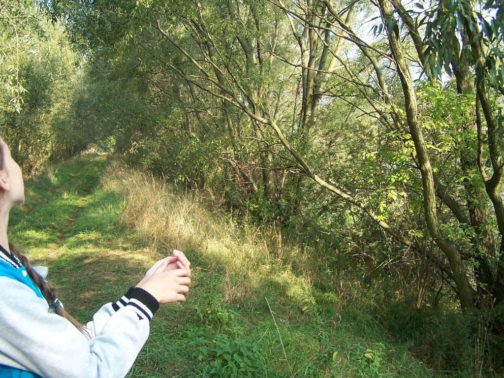 livebirdspoland_bbb1d07a2c4642c2073c9ca94f273e7e.jpg
