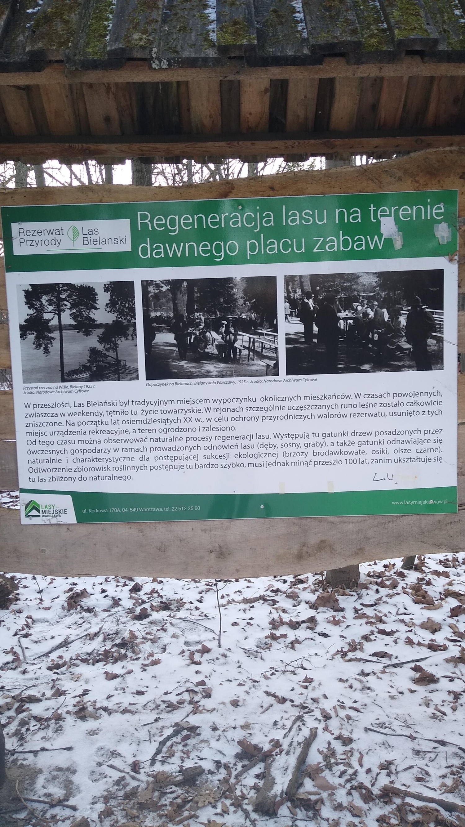 livebirdspoland_3f23dc28da72debd74a08fe24f440f7a.jpg