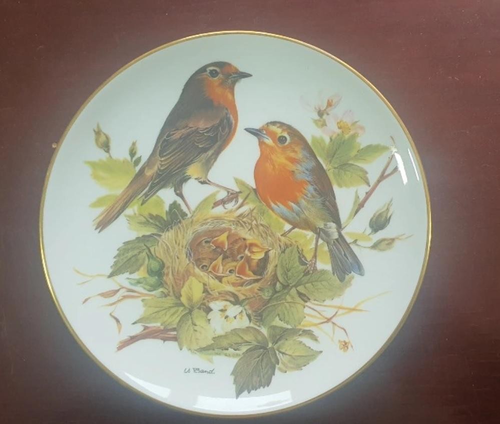 livebirdspoland_ae5c647f828b9fe51f3ffd73f15987f2.jpg