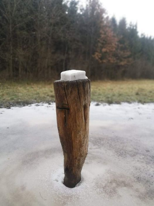 livebirdspoland_f9ad7c8b5911a555d1926a60f3deae74.png