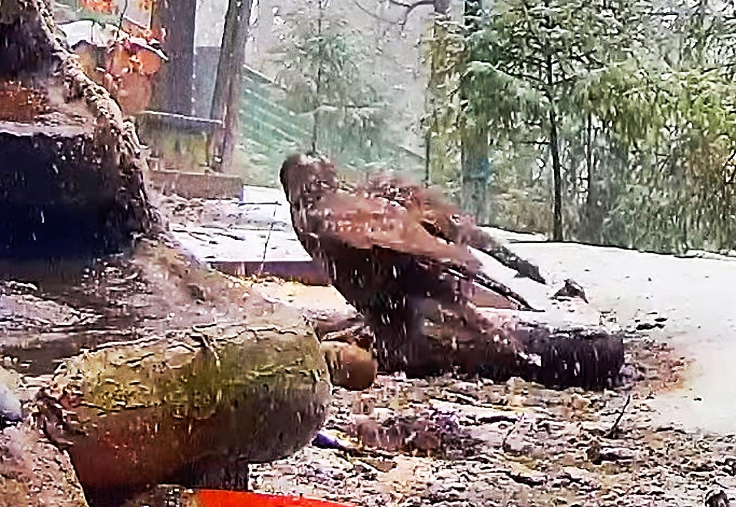 livebirdspoland_caa74e127ad93daa8798cfe472753c75.jpg