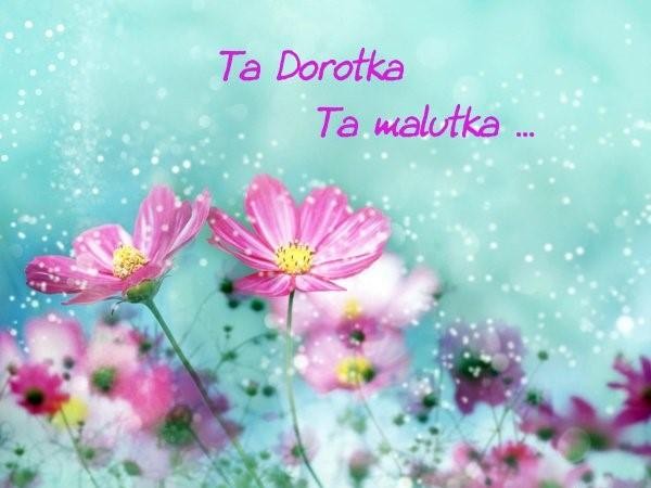 livebirdspoland_1fdc5a0c5d99c86d4e2dd89ad44f87af.jpg