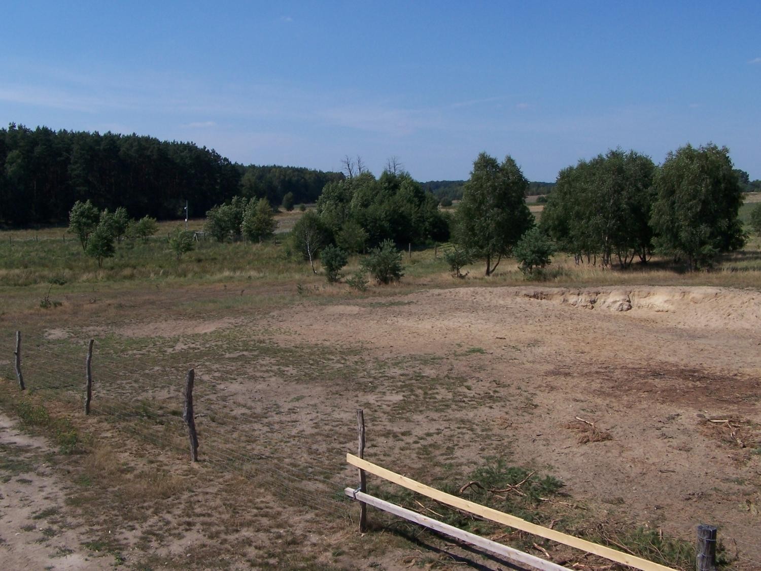 livebirdspoland_9ec4c938733b3e40520d88cce06b6452.jpg