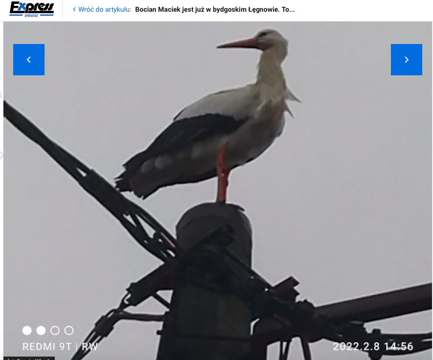 livebirdspoland_cae45cadce8b890dbe6ca9a225fa90b2.png