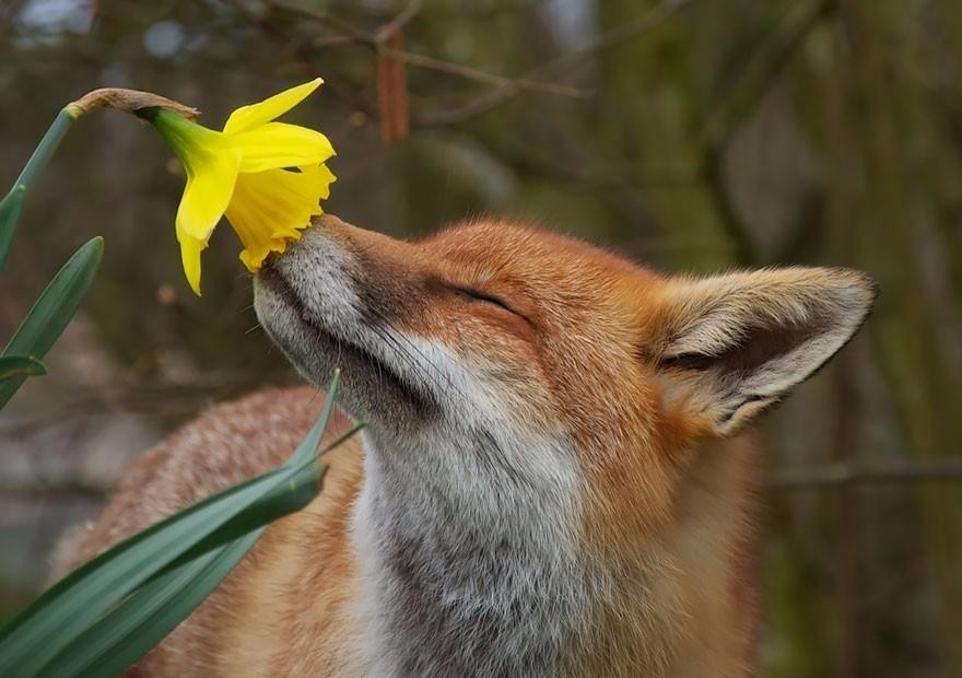 livebirdspoland_9f20a6d22c3562f2ec15984a8126ad2d.jpg