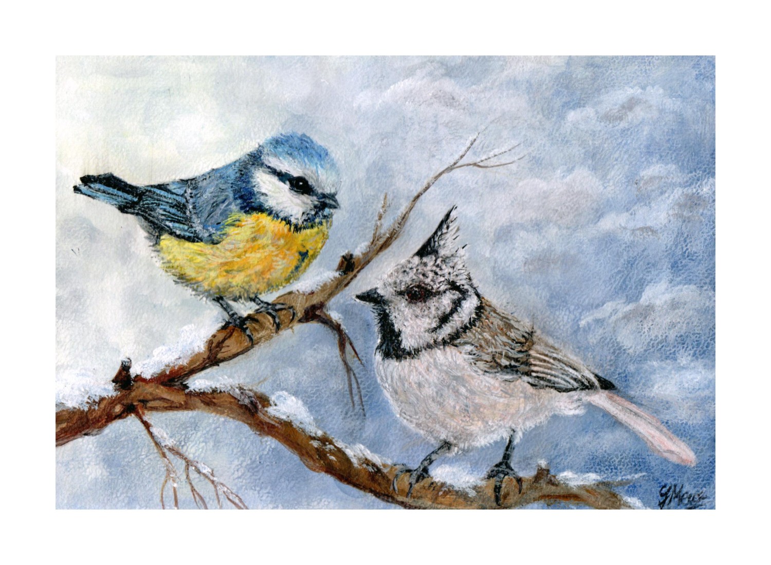 livebirdspoland_b7404e58ed714ff82a39c4a9e81a4eef.jpg