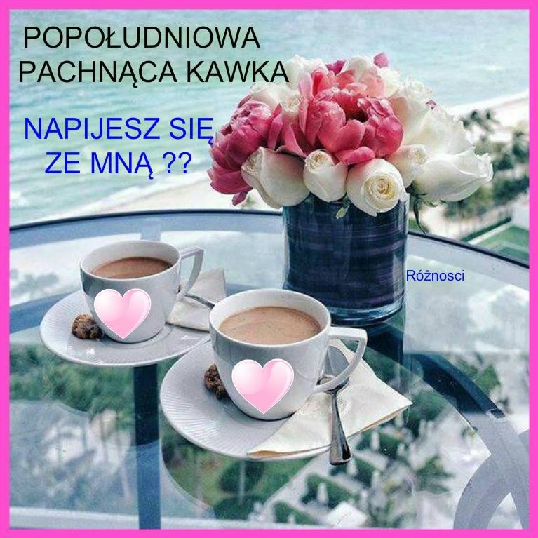 livebirdspoland_f8118f31c063acb127c21b97fb36d2d0.jpg