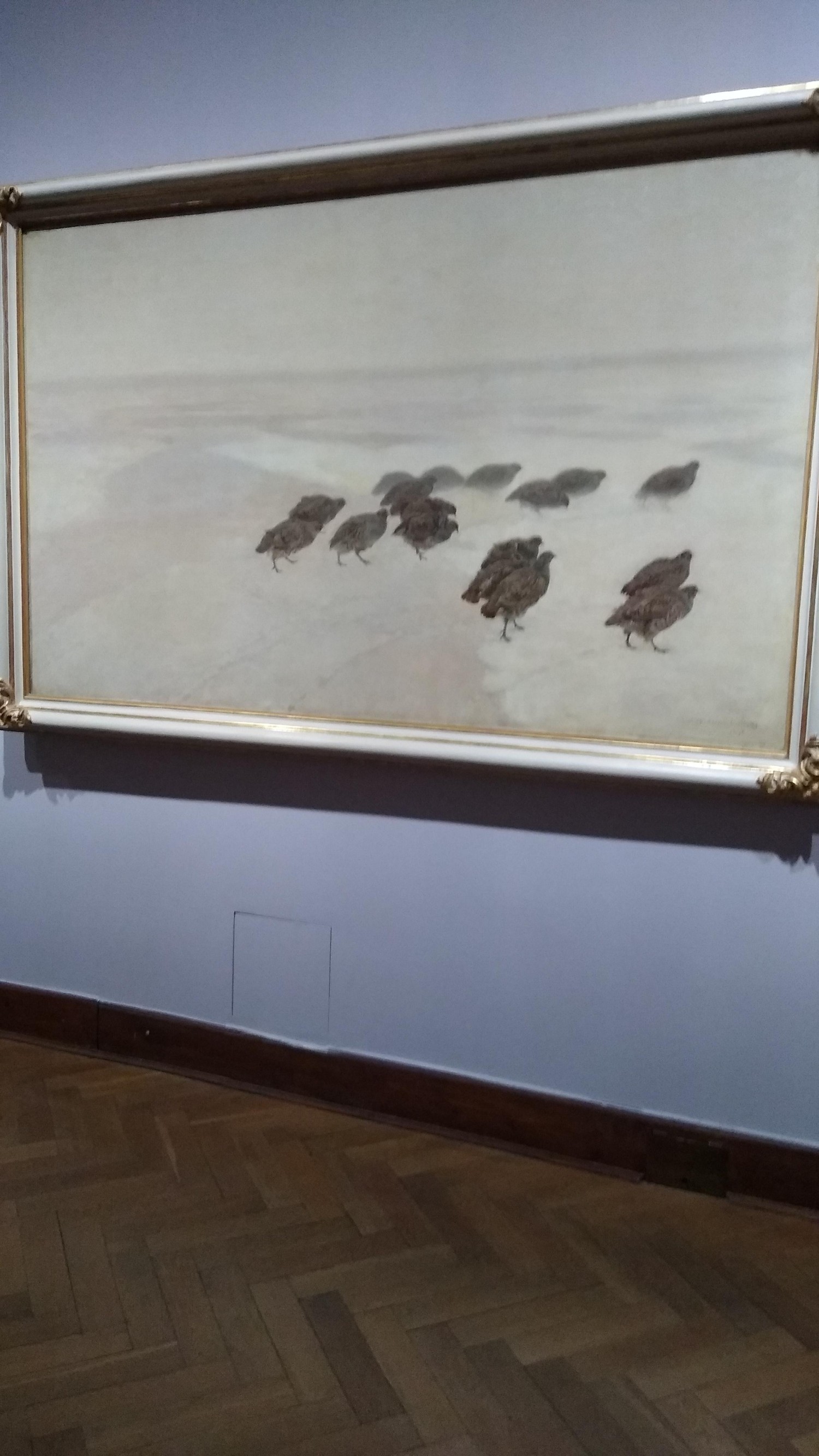 livebirdspoland_4c443c644ec8401b002c0802a5c7bf1b.jpg