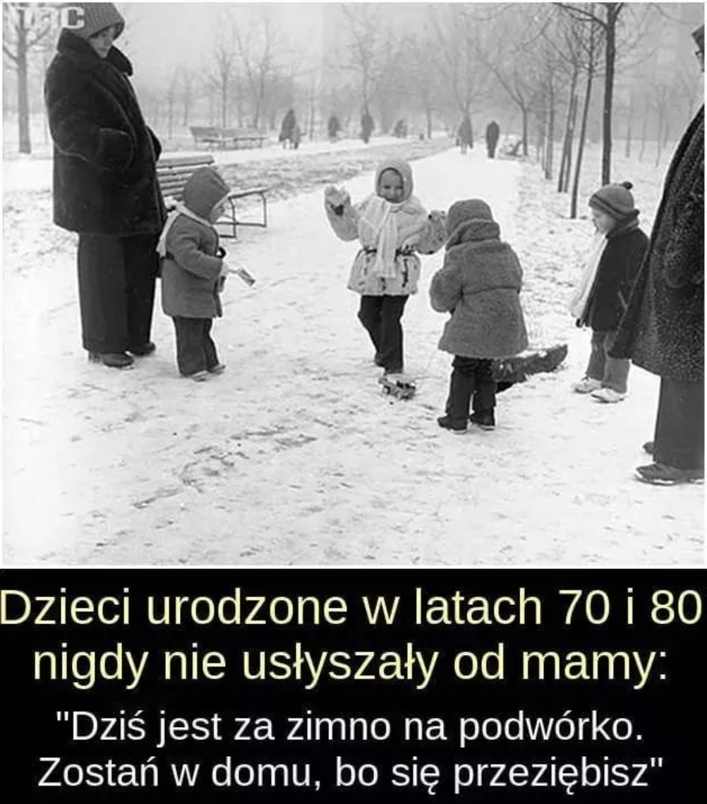 livebirdspoland_cf3b61f124c69a290e0d5527a8ba8a45.png