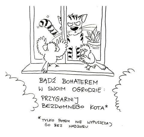 livebirdspoland_fe8d7e3945420470549f9c6cab2fe208.png